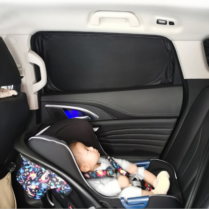 Car Sunshade for Tesla Model 3 - Privacy Screen Protector 评论和价格